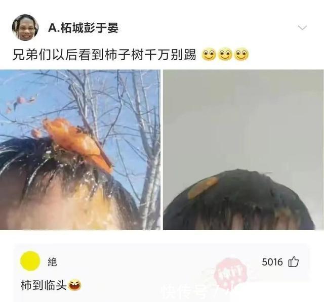 |搞笑合集:这是我的两位表弟,为人圆滑方正,希望能找个对象
