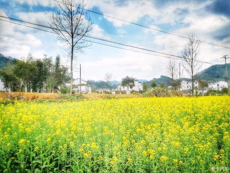 山水|婺源之美，不只是百花的点缀，更是山水与村庄的柔美画卷！