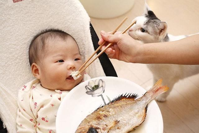 肉泥|孩子多大时候能“吃肉”很多宝妈都搞错了时间,1岁再喂就晚了