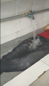 |搞笑GIF:我都不敢这么p,她却敢这么长!