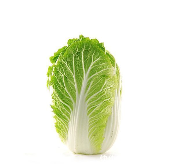 宝宝吃什么蔬菜降火最快