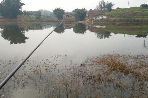 数九寒冬钓鲫鱼，鱼都藏在这些地方，在这里下竿，大鲫鱼连竿上！