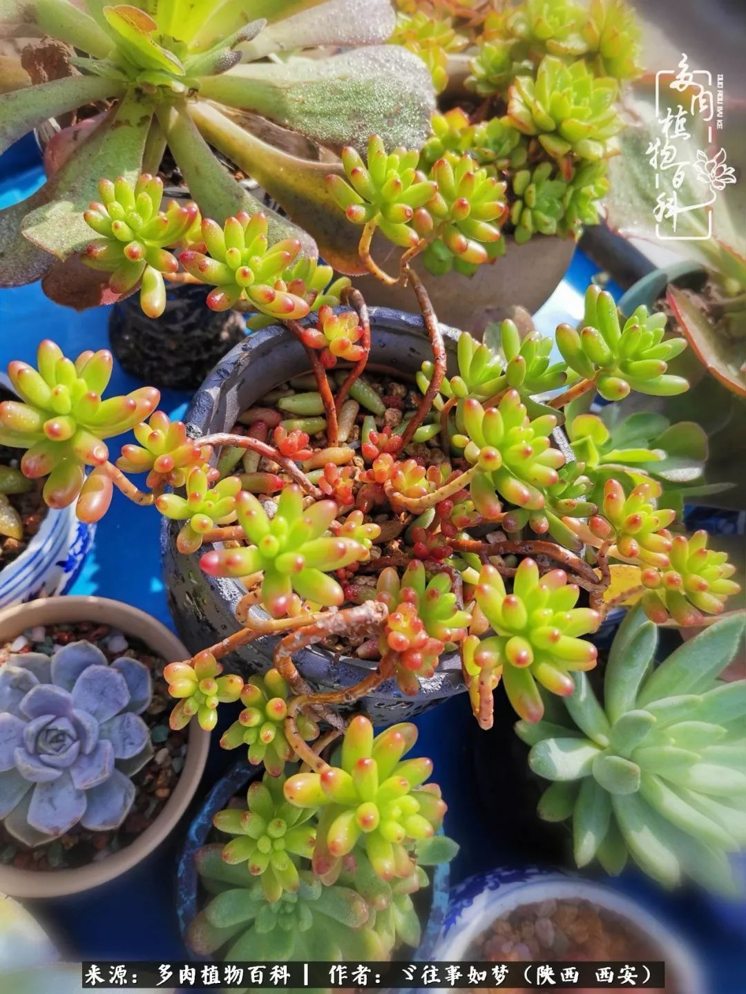 愿你付出甘之如饴，愿你所得归于欢喜！