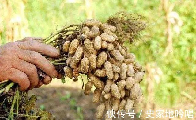 食物|秋季不想变成黄脸婆，常吃3种食物，排毒抗衰老，甩掉小赘肉