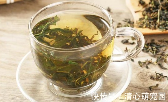 蒲公英|養肝“黃金水”！日常喝一杯，喝出不老肝，濕氣也排光