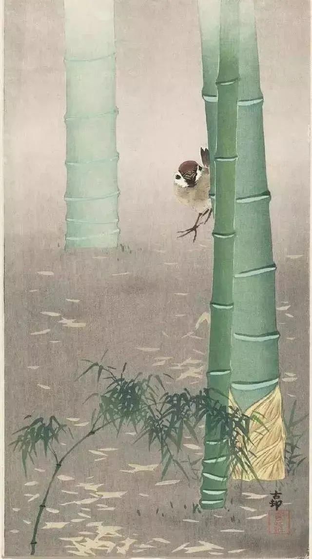 日本绘画大师的花鸟画，淡雅清新