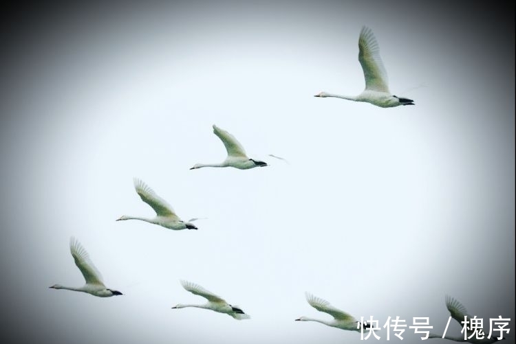 五言律诗&吟诗明月下,旅游暖阳中(诗词七首)