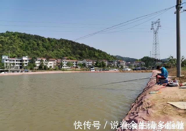 渔具|别拿野钓装备去玩黑坑,新手入坑须知:先得把这些渔具买齐了