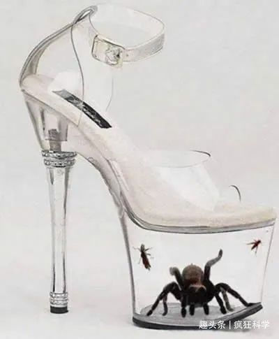纯天然@一组脑洞大开的奇葩鞋子,设计师的创意实在让人看不懂!