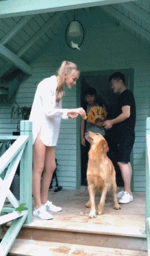 |搞笑GIF:为什么,我就这么的不堪一击吗?