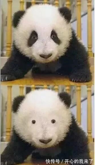 |搞笑段子，神回复，让你神清气爽（二）