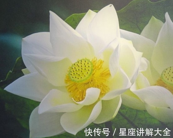 吉星|步入7月中旬,4属相吉星近身,机遇多多,富贵满堂,生活乘风破浪