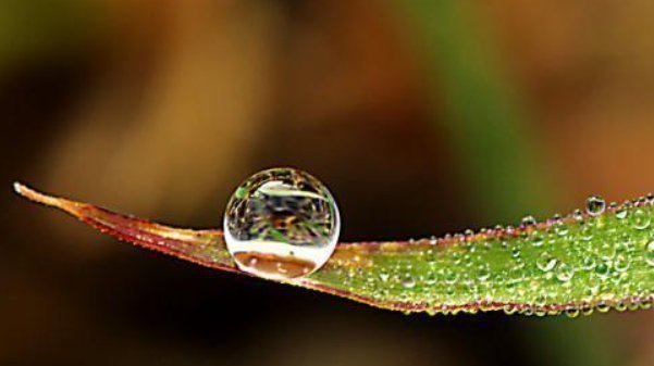 勤劳|一个家庭走向兴旺的4个征兆，你家若有一个，就要恭喜了