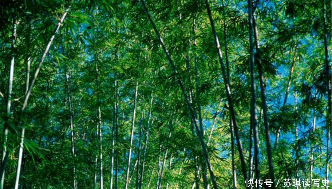 作品|范成大最美的一首六绝,每一句都如诗如画,读来让人拍案叫绝