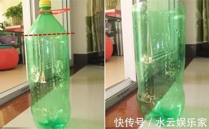 雪碧瓶别丢了，剪个口子拿来养花，一点不比买得花盆差！