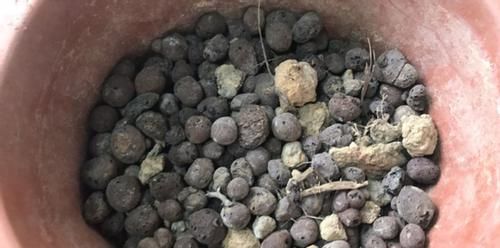 日常养花该准备什么肥？自制这3样就不错，肥效温和、材料易得