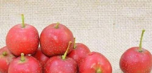  延缓|对身体最好的3种食物，营养丰富、延缓衰老，好吃又不贵！