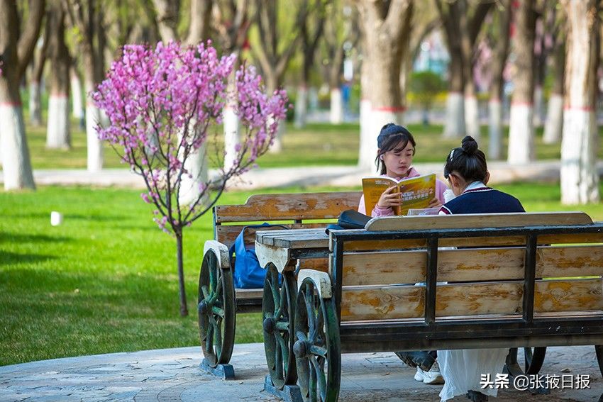 春天的河西学院，最美丽的风景处处都有视觉冲击