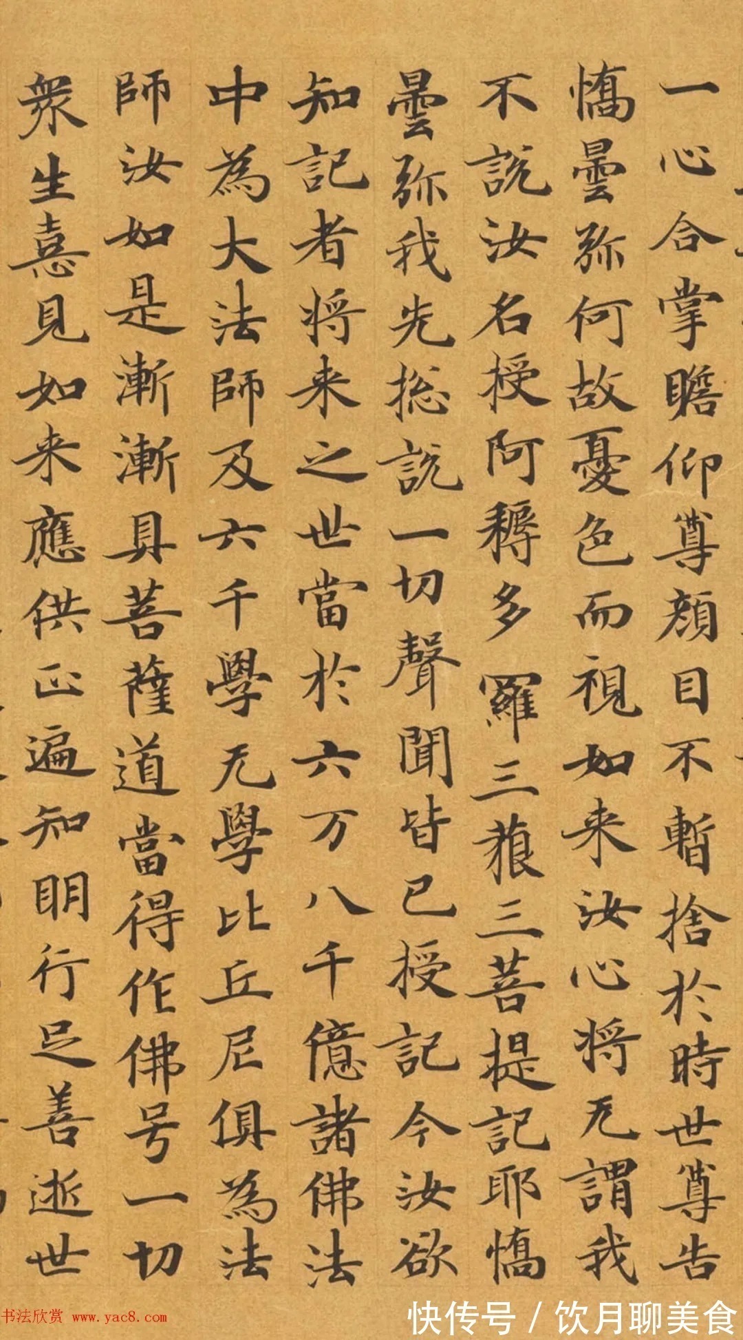 安昌$唐代封安昌楷书《妙法莲华经》虞世南之子监制