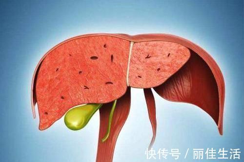 期门穴|肝经是否畅通?敲3个点就知道!中医教你3招,自己在家给肝做体检