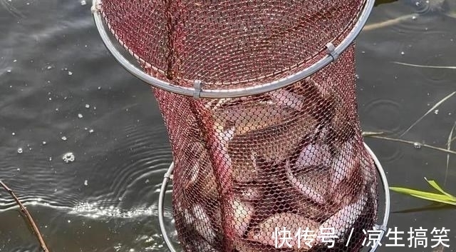 同一个钓位，昨天能连杆今天却空军！背后的原因你知道吗？