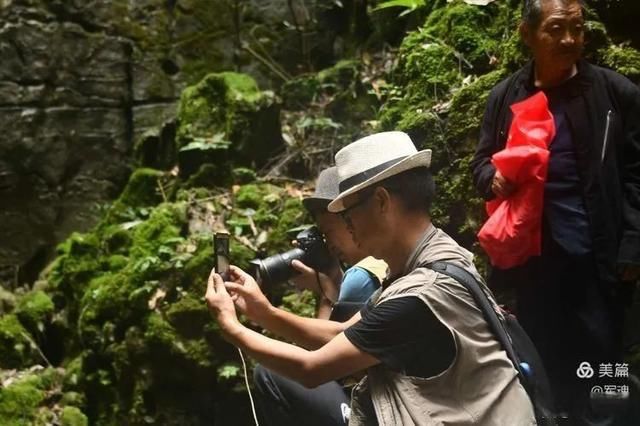 岩壁|探秘鬼斧神工的汉中“大屋基”地缝峡谷，秦巴深处的地质奇观