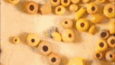 -公元|这些玻璃虽然个头小,但价值不菲!