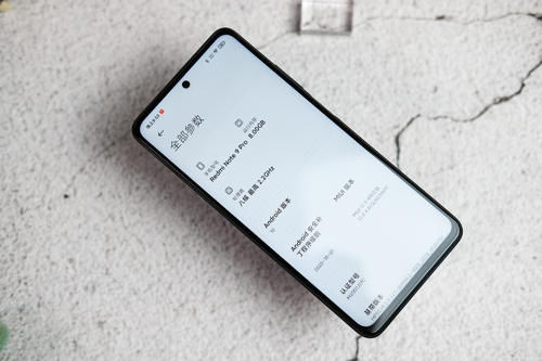 Pro|卢伟冰你不讲“武德”，Redmi Note9 Pro你“耗子尾汁”