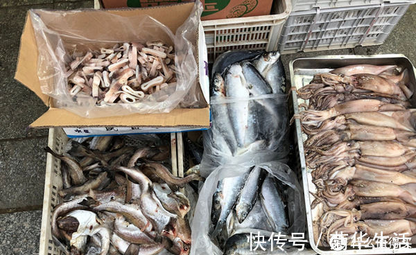 嫌弃|这种鱼总被人误解,比鲫鱼营养,却因冷冻被嫌弃