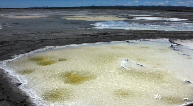 食盐别乱买，吃错了危害健康，同样是盐区别很大，我也是刚知道