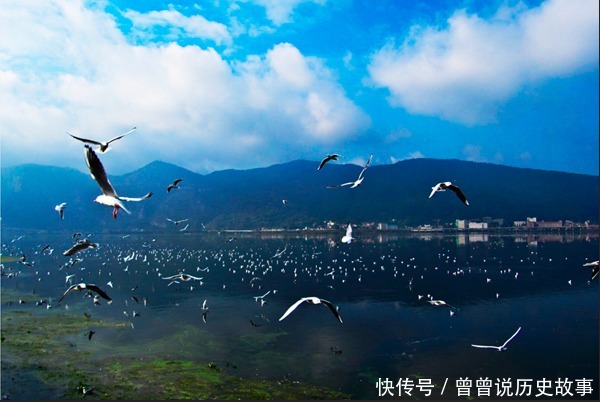 中年|这就是中国最舒服的城市,没有夏天也没有冬天,来了就不想走