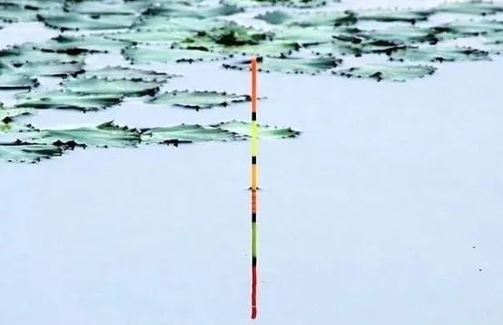 钓鱼技巧:线组上的严重影响灵敏度的三个地方,很多钓友忽视,严重影响上鱼率