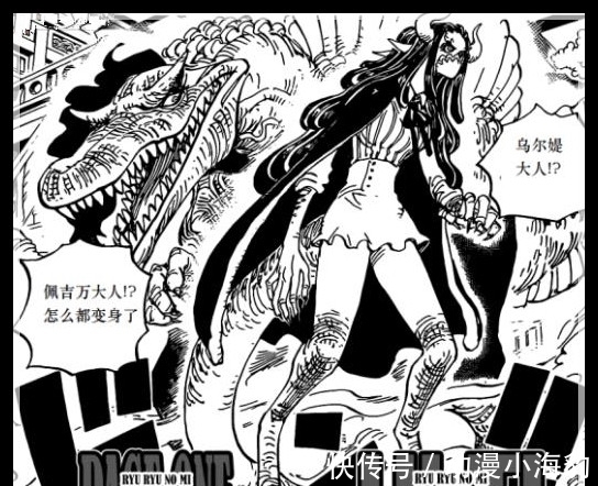 暴龙|海贼王983话,穿连衣裙的暴龙见过没?乌尔缇让我们见识到了