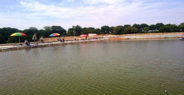 收费鱼塘钓鱼，掌握5个知道，3条垂钓技巧，多钓鱼不难