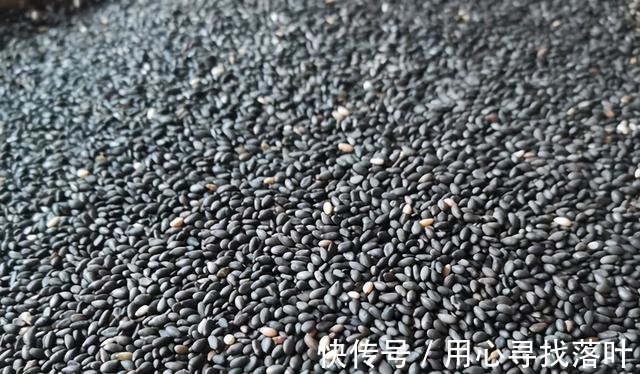 黑芝麻|黑芝麻最好吃的5种做法，步骤简单，滋补极佳，快学会做给家人吃！