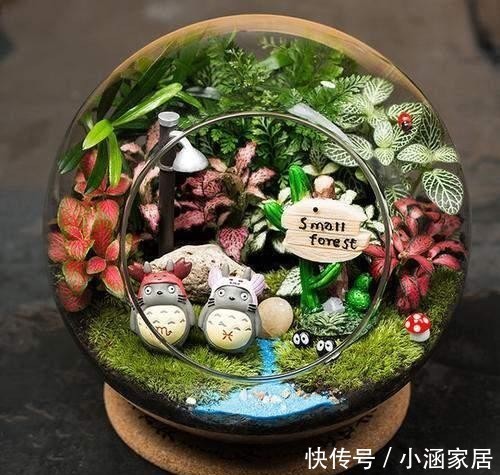 瓶景|过年大火的瓶景自己做,一瓶就是一个景观,小小一个真有趣