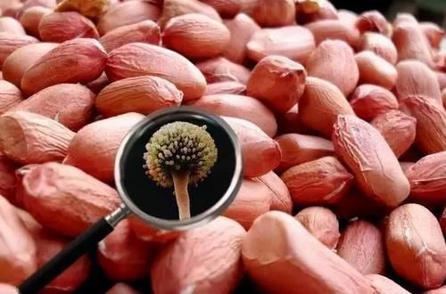 未分化癌|吃一次等于半斤油,27岁女子甲状腺癌离世,只因爱吃1种粗粮