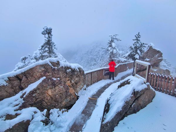 老界岭|南阳老界岭迎来连续降雪 厚度达25厘米