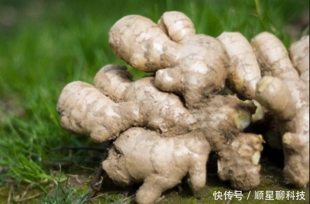 家里常見一物,竟是膝關(guān)節(jié)炎的克星,現(xiàn)在知道還不晚