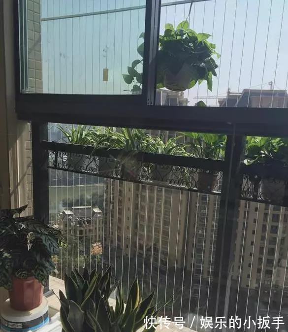 装修|晒晒朋友新房,装修太漂亮都挑不出毛病,看到阳台瞬间转粉了!
