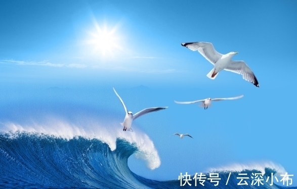 心经@“治大国,若烹小鲜”,这句话有可能说的是“悟道”的境界