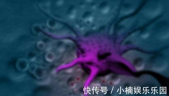 日常生活|“它”是癌症天敌,若每天吃点,也许“癌细胞”会“悄悄”离开你