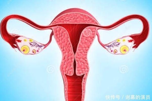 卵巢|你知道吗女人一生最佳受孕机会只有48次,错过了就没有了
