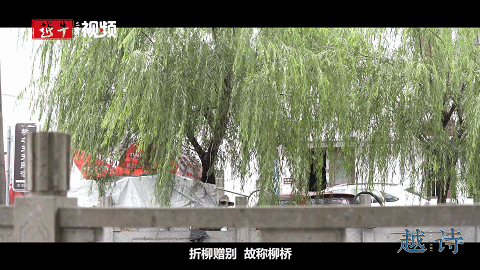 小浦|【越诗】横林待鹤归