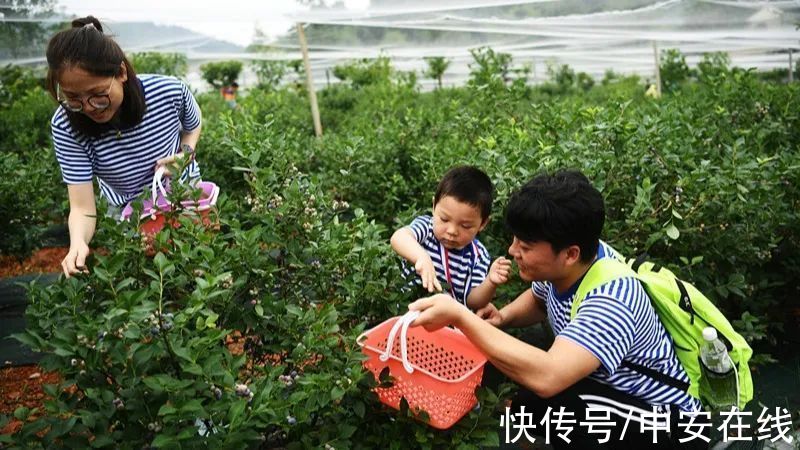 千年宜城，大放光彩|皖美这五年 | 安庆