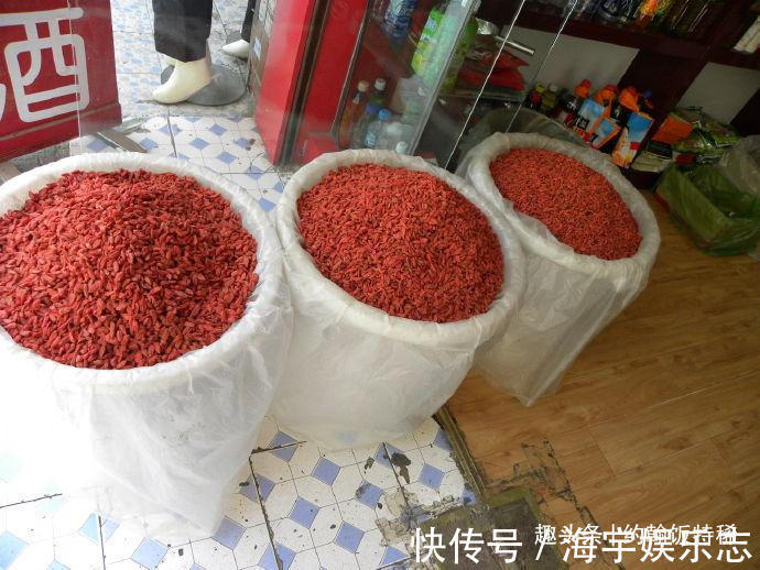 泡水|枸杞,你吃红的还是黑的泡水牢记“3不要”,营养加倍喝得健康