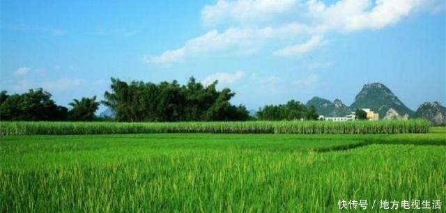 清廉|包拯为何如此清廉?看看他年薪就明白了,换成你也不会贪