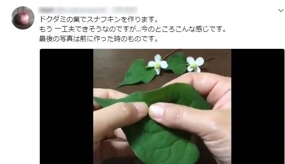 折纸|日本女网友凭借折纸裁剪手艺,将花草变成治愈人心的作品走红网络