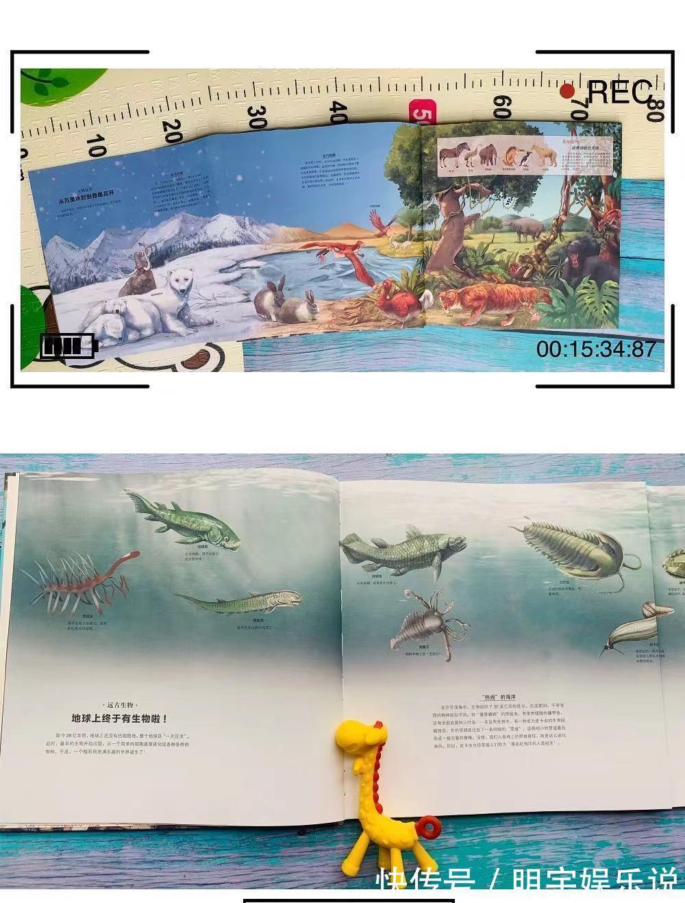 故事|期末复习季,如何帮助孩子更好地复习历史学科,这本书值得推荐