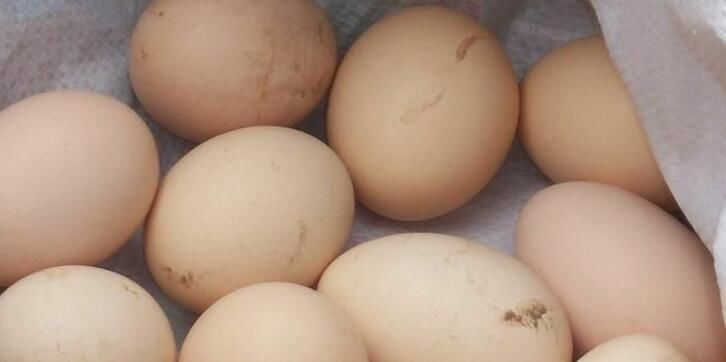 鸡蛋|将3斤鸡蛋5斤盐放锅里,不加一滴水,出锅后全家都流口水